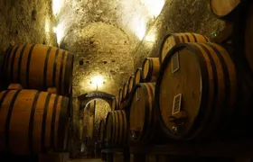 Tasting Tour in One of The Most Beautiful Cellars in the World