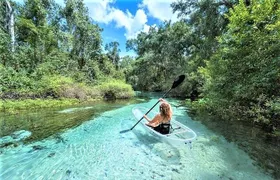 Rock Springs 2-Hour Glass Bottom Guided Kayak Eco Tour