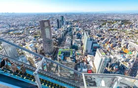 Tokyo Private Tour: One Day Highlights and Optional Shibuya Sky