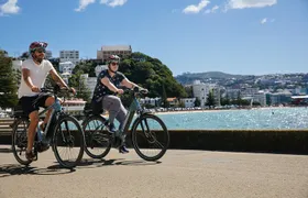 Wellington Electric Bike Rental
