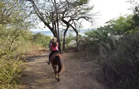 Horseback Riding Tour in Playa Maderas, San Juan del Sur also in Costa Rica