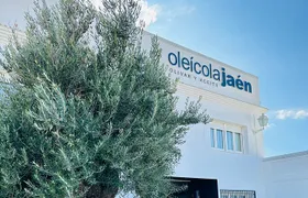 Immersive oil tourism in AOVEland by Oleícola Jaén