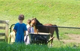 Truly Authentic Lancaster Experience!