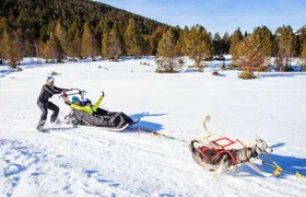 Mushing Experience in Grau Roig