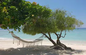 Gili Islands full-day guided tour with snorkelling and lunch