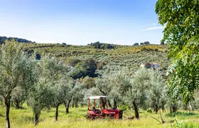 Calabrian farm cheese-making demo and pasta-rolling with lunch