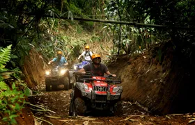Full Day Quad Bike ATV Adventure Ride and Ubud City Tour