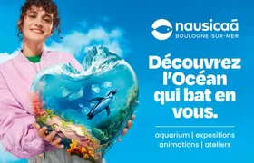 Entrance Ticket Nausicaa, the biggest aquarium in Europe
