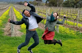 McLaren Vale Small Group Wine Tour
