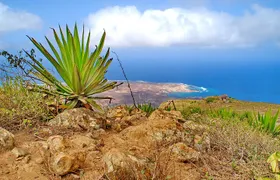 Full-Day Tour of Sao Vicente from Mindelo