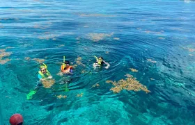 Half Day Snorkel Trip on Reefs in the Florida Keys