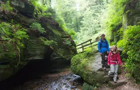 Luxembourg: Nature & Castle Day Trip