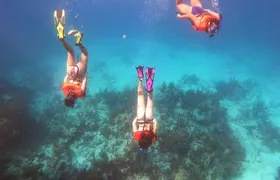 Key Largo Two Reef Snorkel Tour - All Snorkel Equipment Included!