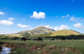 Yangmingshan and Beitou full-day tour from Taipei