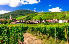 Alsace villages half day trip from Strasbourg