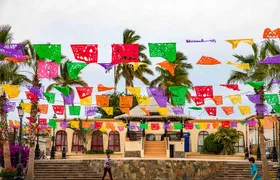 Todos Santos City Tour