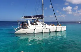 Woodwind sail and snorkel tour