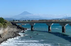 Guided Hybrid Bike Tour in Shizuoka City (Note: not e-bikes)