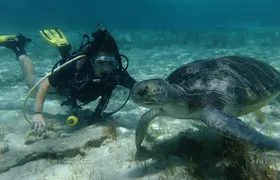 SCUBA DIVING first time experience