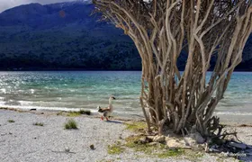 Tour of southern unspoiled Crete from Rethymno