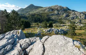 Lovćen national park and Budva city full-day private tour