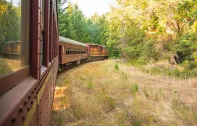 Willits Wolf Tree Turn tickets