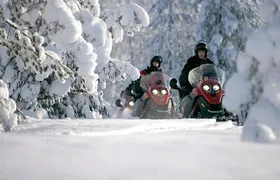 Snowmobile Safari through Lappish Forest from Rovaniemi