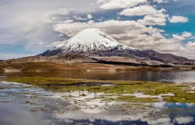 Lauca National Park 2D / 1N "Arica - Putre - Lake Chungará - Arica"