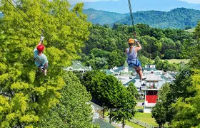 Small-Group 7-Line Zipline Activity at Sevierville Nature Park
