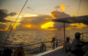 Party Sunset
