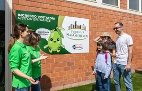 San Gimignano oil mill experience and oil tasting