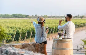 Mendoza vineyards tour with wine tasting