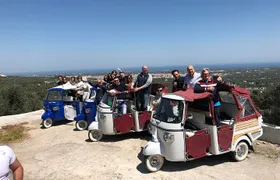 Private Tour of the Itria Valley by Ape Calessino