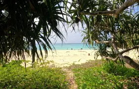 Okinawa's Gorgeous Beach & Snorkel Tour: Private & Customised