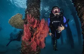 Redang Island Scuba Diving for Beginners