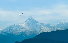 Private Half day Pokhara sightseeing