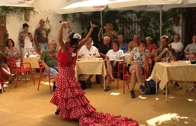 Ayamonte tour with tapas and flamenco show