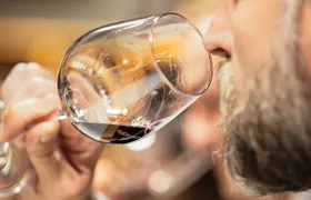 Private Masterclass of our Wines, Excellence of our terroirs