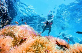 Koh Chang 4 islands snorkelling Rang National Park experience
