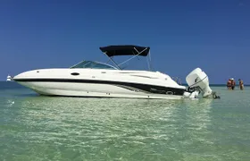 Private Half Day Stingray City, Snorkeling and Starfish Beach Tour