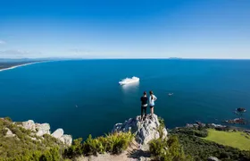 Tauranga Shore Excursion: History & Kiwifruit Tasting – 4 Hours