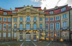 1-hour small group tour of Münster with a local