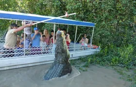 Adelaide River Cruises - Jumping Crocodile Experience