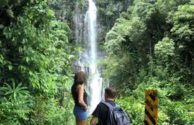 Road to Hana: Full-Day Scenic Drive with Blacksand & Waterfalls
