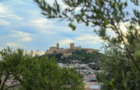 Fortress of La Mota entrance ticket with audio guide