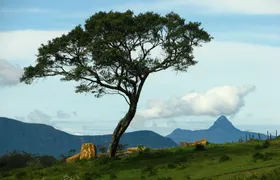 03 Day Nuwara Eliya & Ambewela Tour