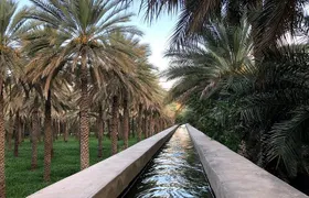 Old Nizwa authentic walks