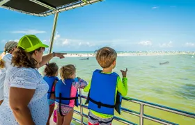 Marco Island Wildlife Sightseeing and Shelling Tour