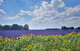 Arles Small groupe tour : Private Day Trip to Luberon Villages