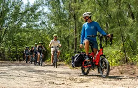 Small Group E-Bike Grand Cayman Ecological Half-Day Tour